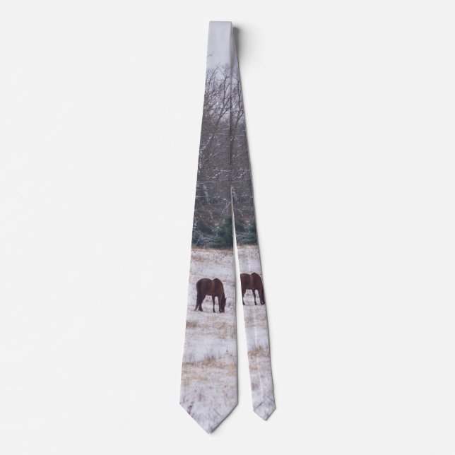 Corbata sola en la nieve (Anverso)
