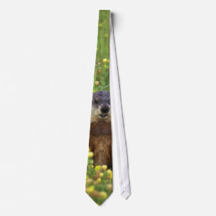 Corbata Soy Groundhog