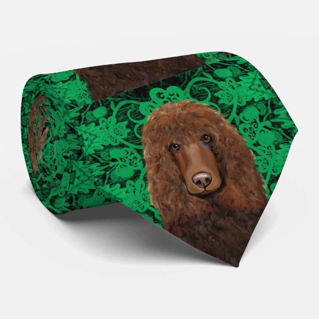 Corbata Spaniel de agua irlandés (Enrollado)