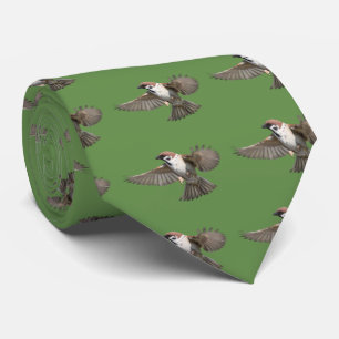 Corbata Sparrow