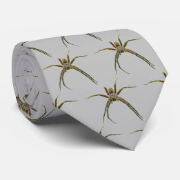 Corbata Spider