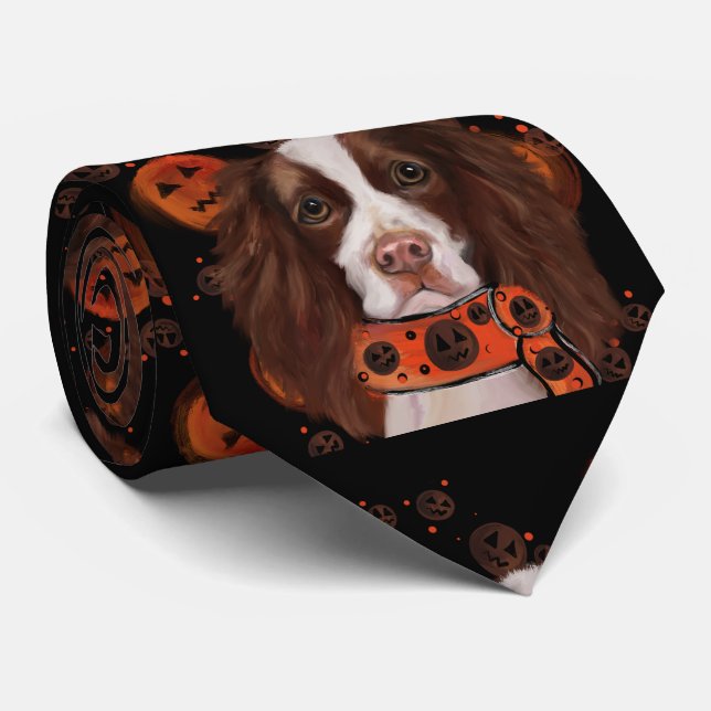 Corbata Springer Spaniel Inglés       (Enrollado)