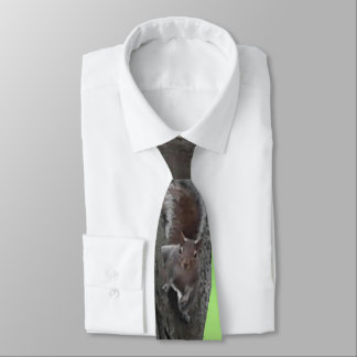 Corbata Squirrel Fanatic