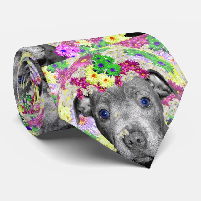 Corbata Staffordshire Bull Terrier Y Daisies, (Enrollado)