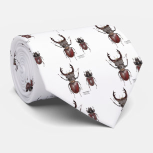 Corbata Stag Beetle