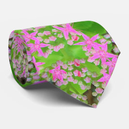 Corbata Suculento sedum rosa caliente con hojas verdes flo