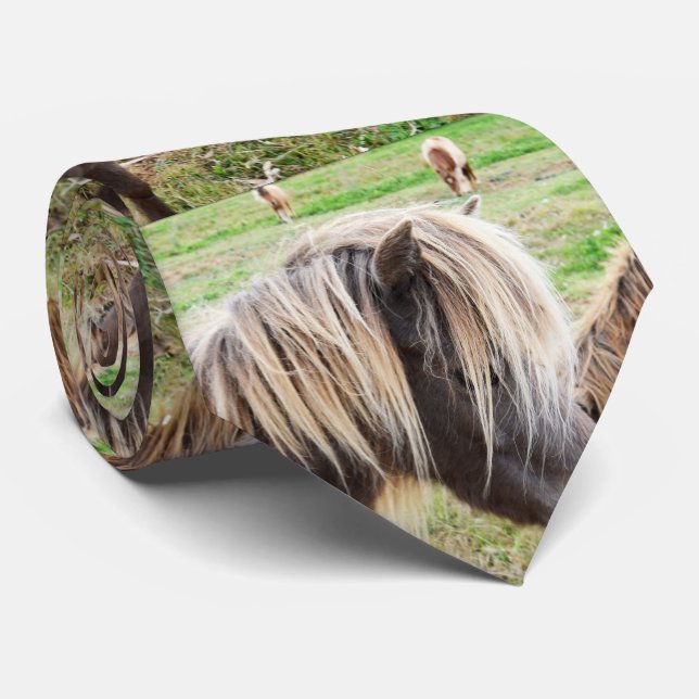 Corbata Tan Colorido Shetland Pony, (Enrollado)