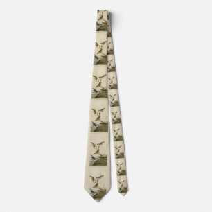 Corbata Tanager, de sondeo rojo, Bunting Audubon Birds of 