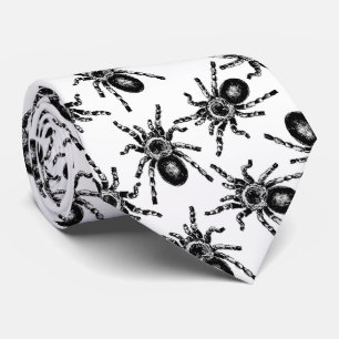 Corbata Tarantula