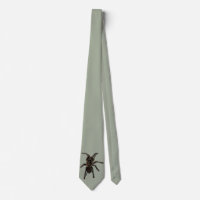 Tarantula