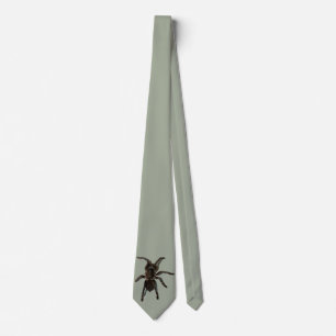 Corbata Tarantula