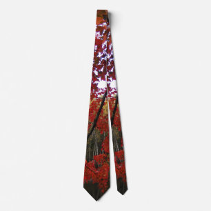 Corbata Tejido de arce de otoño