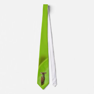 Corbata The Mantis, de JC Findley