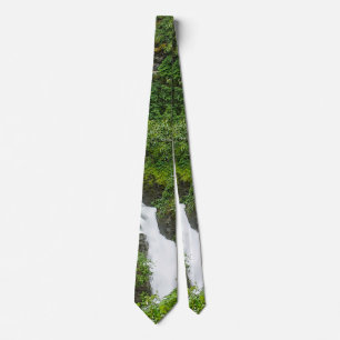 Corbata Thunderbird Cae Painterly Necs