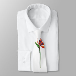 Corbata Tie