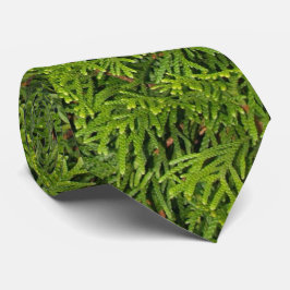 Corbata Tie de ramas de árbol evergreen
