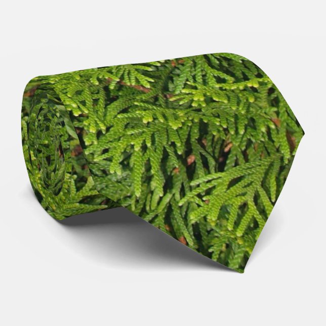 Corbata Tie de ramas de árbol evergreen (Enrollado)