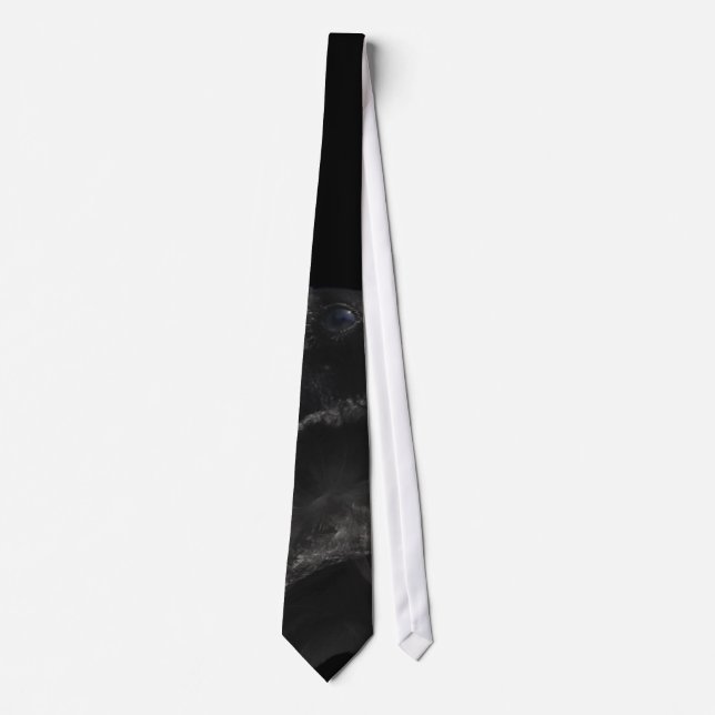 Corbata Tie de Raven (Anverso)