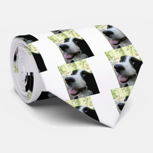 Corbata Tie de seda collie en la frontera masculina