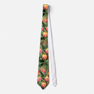 Corbata Tiempo del tulipán
