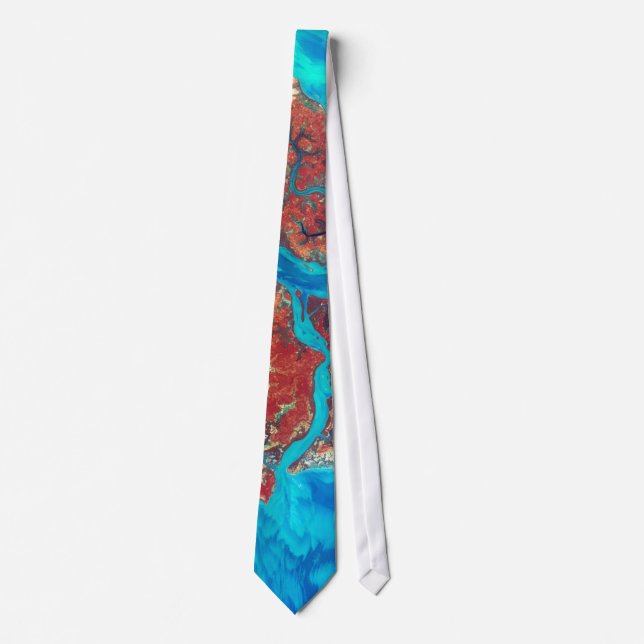 Corbata Tierra como lazo del arte (Anverso)