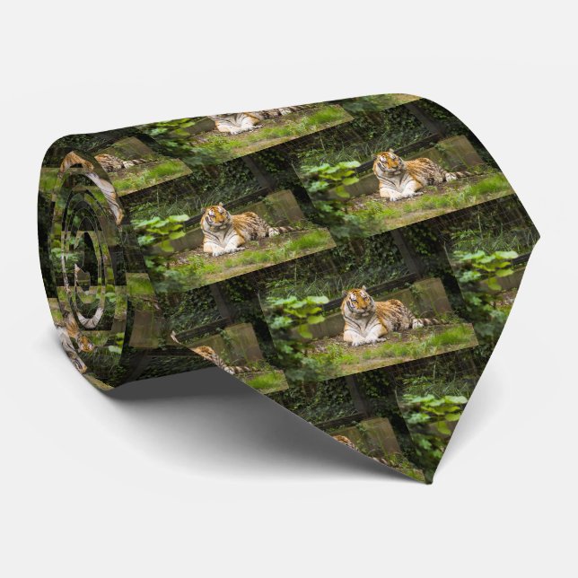 Corbata Tigre (Enrollado)