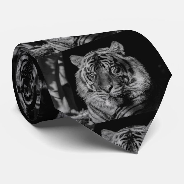 Corbata Tigre blanco y negro (Enrollado)