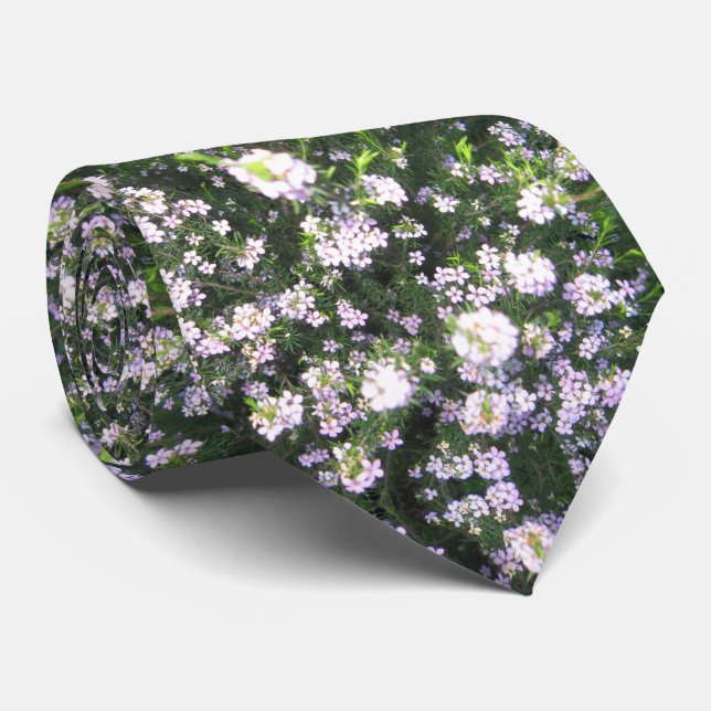 Corbata Tira de cuello silvestre (Enrollado)