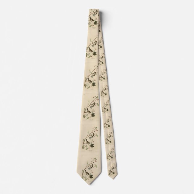 Corbata Titimouse canadiense de los pájaros de América de  (Anverso)