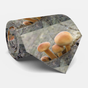 Corbata Toadstools en un tronco de árbol