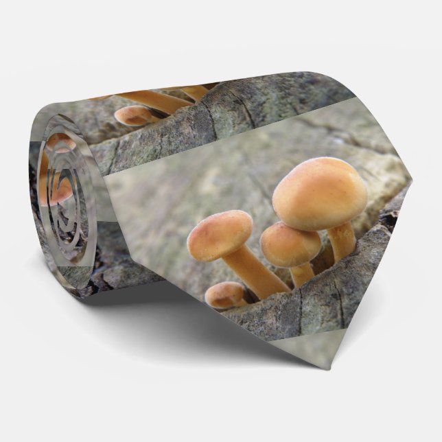Corbata Toadstools en un tronco de árbol (Enrollado)