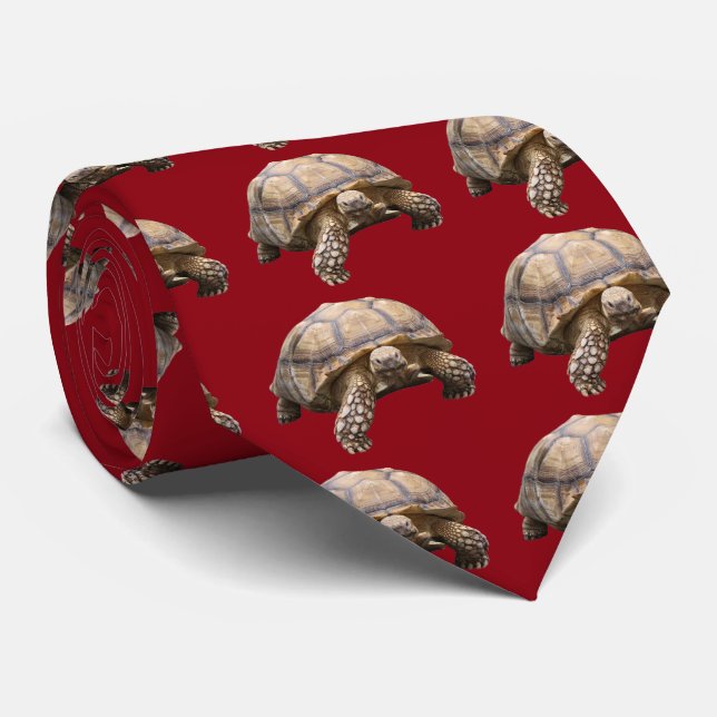 Corbata Tortuga africana (Enrollado)