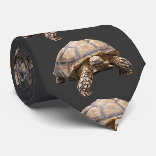 Corbata Tortuga africana