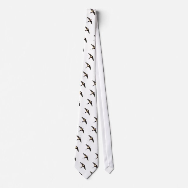 Corbata Tragar transparente (Anverso)
