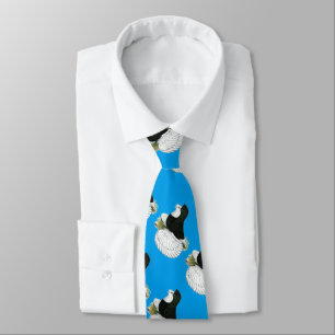 Corbata Trumpeter Pigeon Black Baldhead