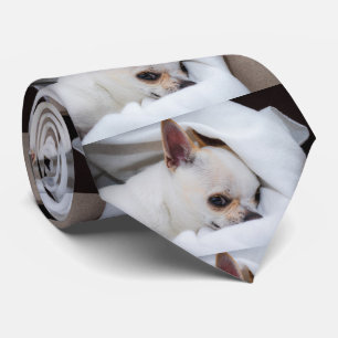 Corbata Tu mascota, personalizado de cachorros, foto chihu
