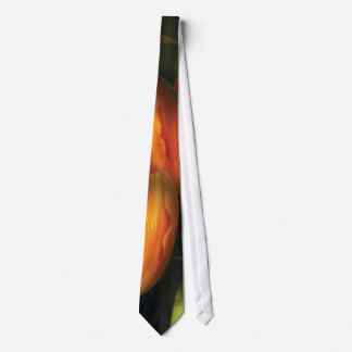 Corbata Tulipán - Orange Irene y Rojo