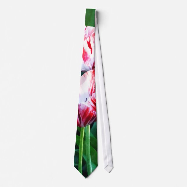 Corbata Tulipanes Elegantes de Rayas Rosadas y Blancas (Anverso)