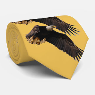 Corbata Un águila calva lleva al cielo