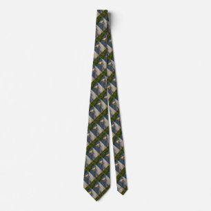 Corbata Un Chihuahua de cabello largo, marrón y blanco