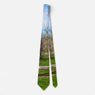 Corbata Un zapato de cuello del asiento de la temporada de