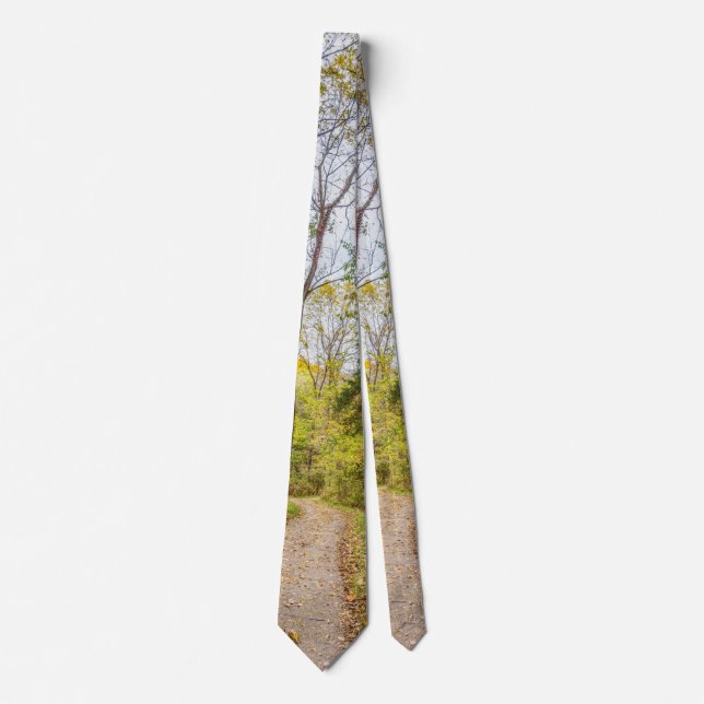 Corbata Una pista de aterrizaje de otoño (Anverso)