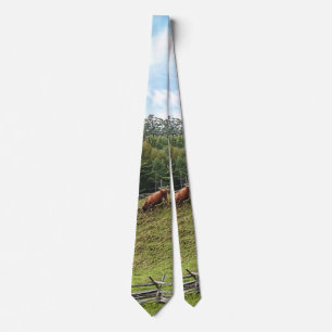 Corbata Vaca en la colina