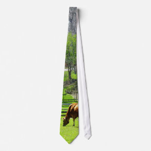 Corbata Vaca que pasta en pasto en primavera