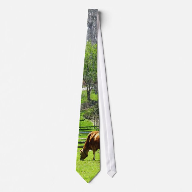 Corbata Vaca que pasta en pasto en primavera (Anverso)