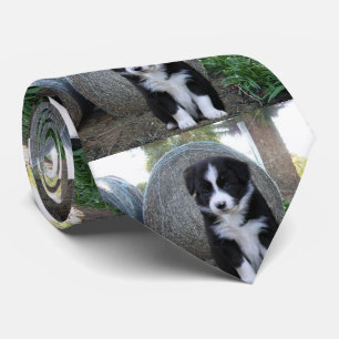 Corbata Vida de la granja de cachorros de collie de borde,
