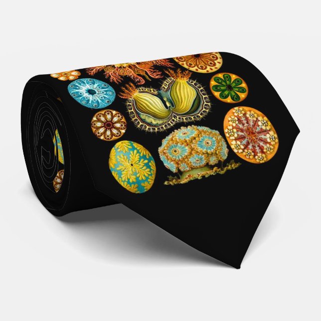 Corbata vida marina criaturas marinas (Enrollado)