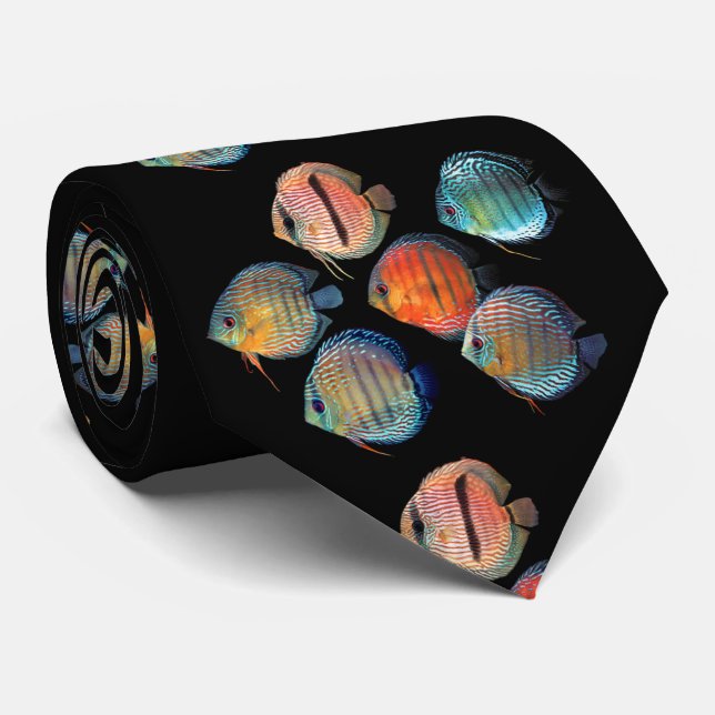 Corbata Wild Discus Fish (Enrollado)