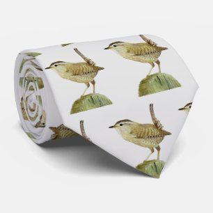 Corbata Wren