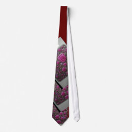 Corbata wssbx 'Digital Rosa'